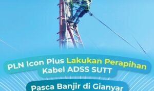 WhatsApp Image 2025-09-22 at 11.53.47